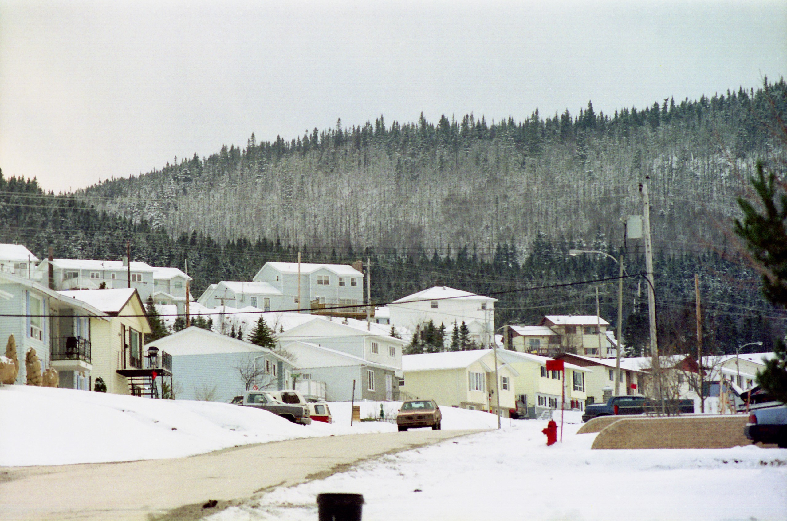 Enjoy Some Winter Fun At Marble Mountain Marble Zip Tours