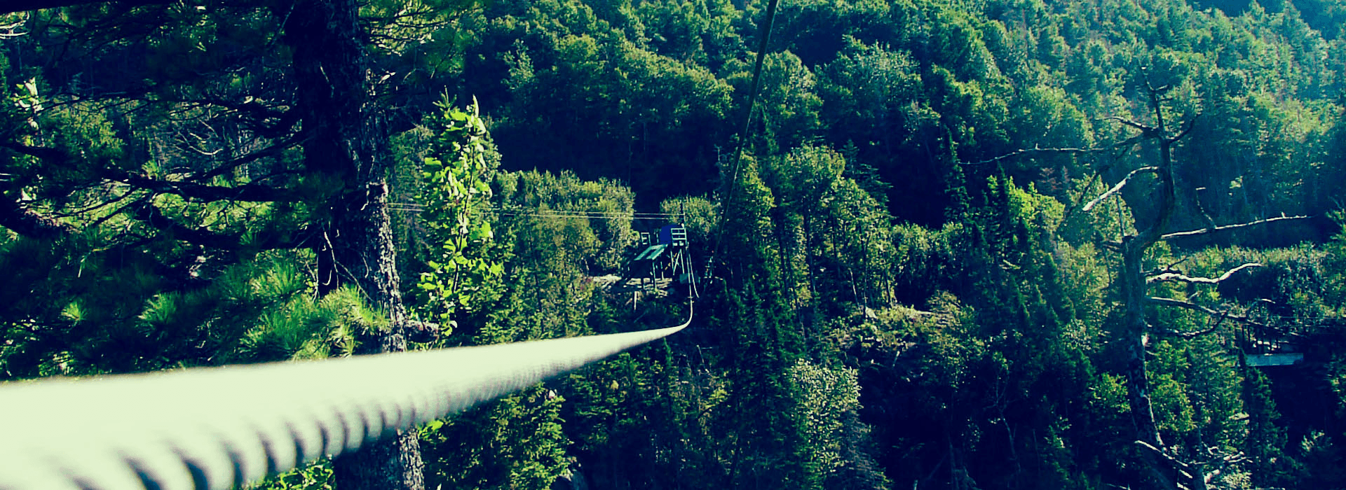 tree top adventures in the mountains header