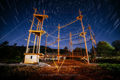 MZT_Gallery_Spider_4